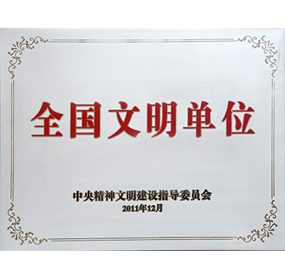 07c41e81-1e6c-4143-9e21-a1a3d23ef777