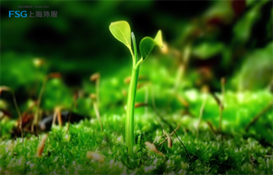 bevictorΰ�¹���-1946Դ��Ӣ��